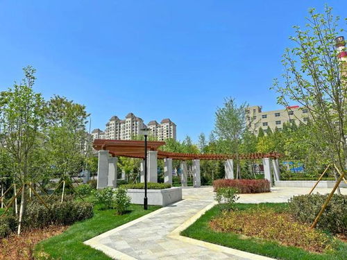 旅順這個產業園區景觀工程完工,來看看咋樣