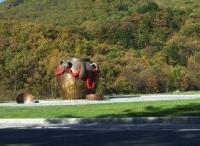 武漢大型景觀雕塑制作公司推薦及景觀工程服務導覽